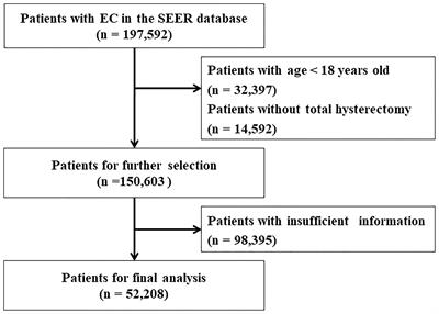 Association of Tumor Size With Prognosis in Patients With Resectable Endometrial Cancer: A SEER Database Analysis